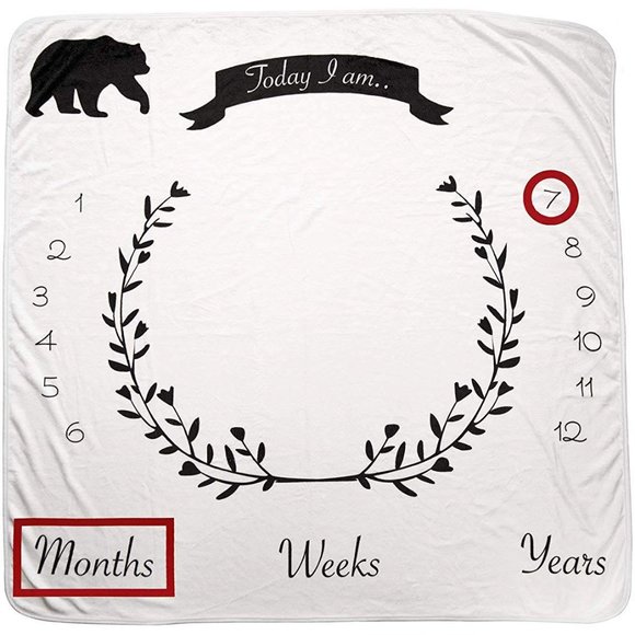 Reives | Gender Neutral Milestones Blanket - Picture 3 of 13